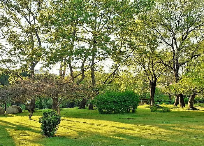 Sunny Days - Park Sandanski